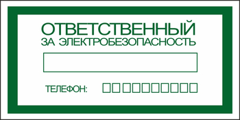 S25 ответственный за электробезопасность (пластик, 200х100 мм) - Знаки безопасности - Вспомогательные таблички - магазин "Охрана труда и Техника безопасности"